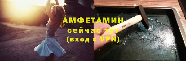 трава Белокуриха