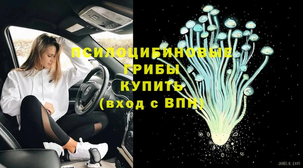трава Белокуриха