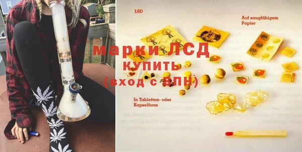 трава Белокуриха